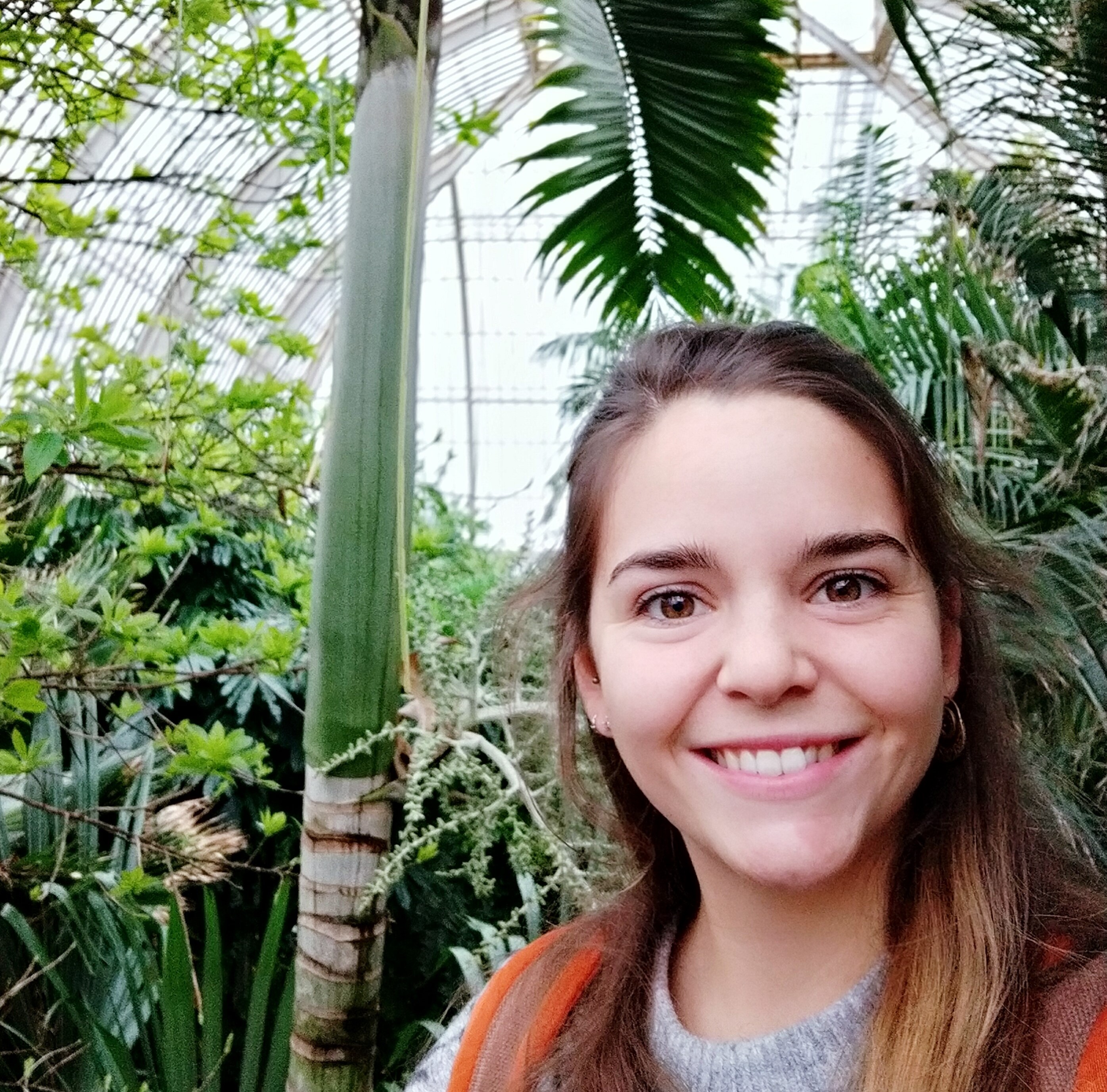 Laura Méndez Cuéllar